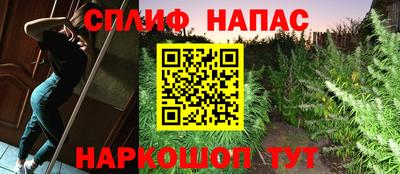 спиды Краснодар