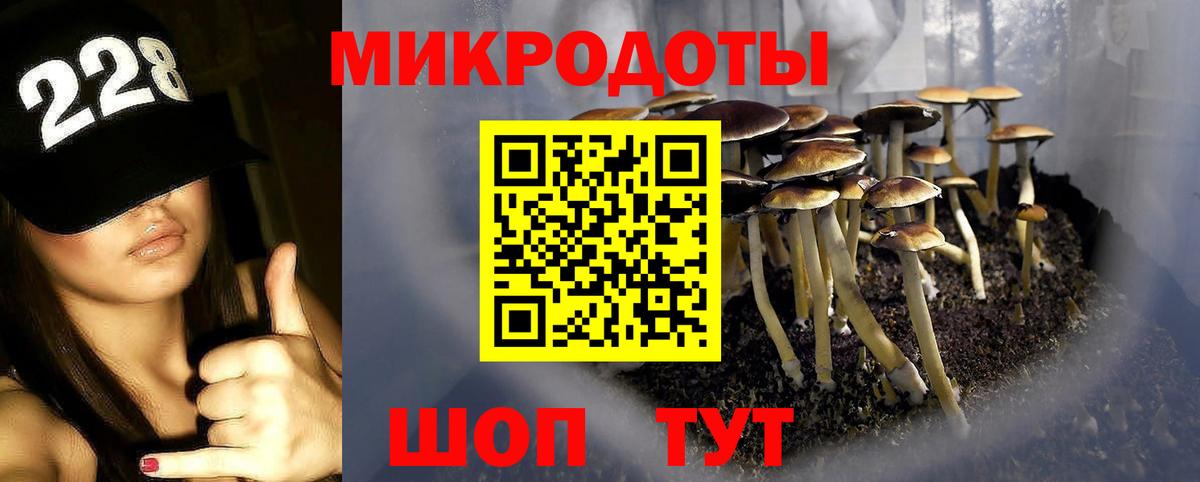 Кингисепп  Псилоцибиновые грибы прущие грибы  Галлюциногенные грибы Cubensis  Вход с VPN 